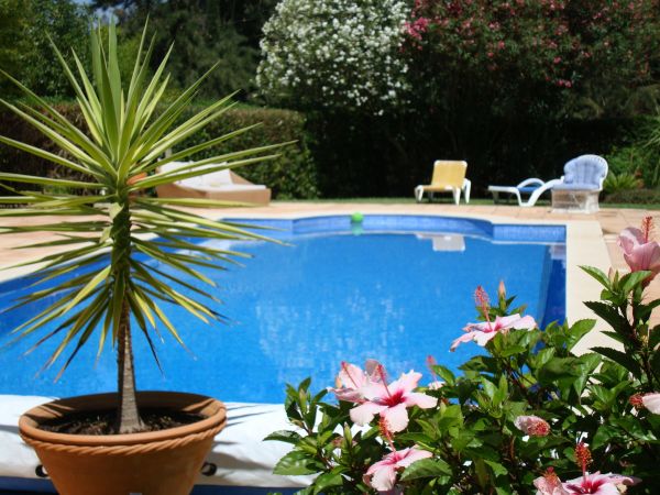 Pool Terrace Renovation in Fairfield